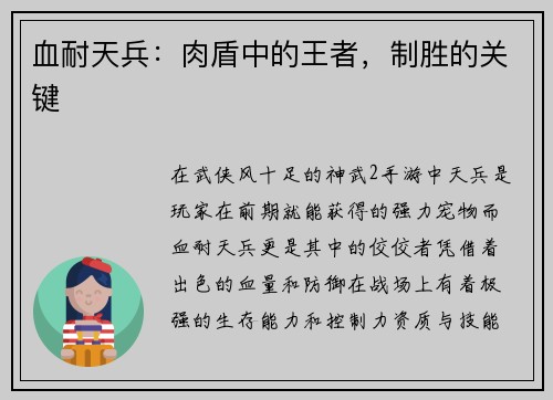 血耐天兵：肉盾中的王者，制胜的关键