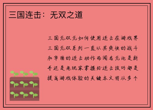 三国连击：无双之道
