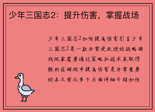少年三国志2：提升伤害，掌握战场